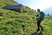18 Alla Baita Bassa di Malga Fratino 